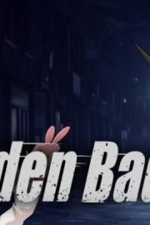 Hidden Badge cover