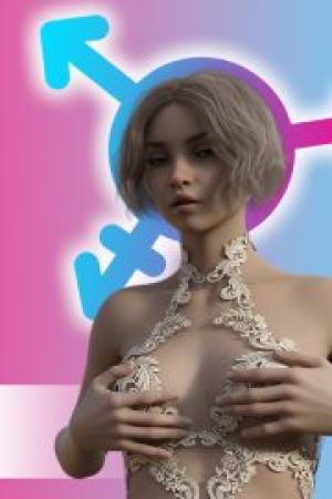 Succubus Contract II cover